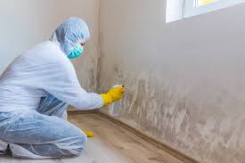 Why You Should Choose Our Mold Remediation Services in Lillington, NC