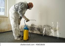 Reliable Lillington, NC Mold Prevention & Removal  Solutions